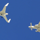 Image for article titled Rocket Racers: Like Crazier NASCAR In the Sky